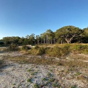 Photo #5 of TBD Jacks Circle Rd., North Myrtle Beach, SC 1.8 acres