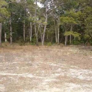 Photo #4 of TBD Jacks Circle Rd., North Myrtle Beach, SC 1.8 acres
