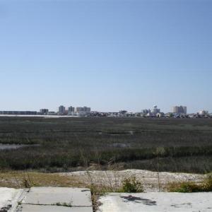 View of yard with a skyline view