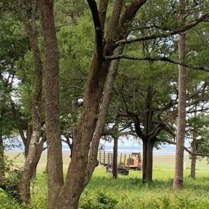 Photo #4 of TBD B Jacks Circle Rd., North Myrtle Beach, SC 0.5 acres