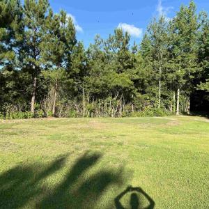 View of grassy yard featuring a wooded view