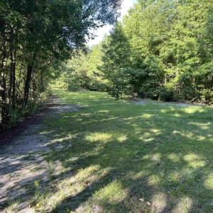 View of grassy yard featuring a forest view