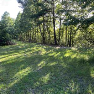 View of green lawn featuring a forest view