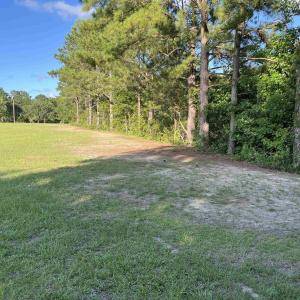 View of grassy yard with a view of trees