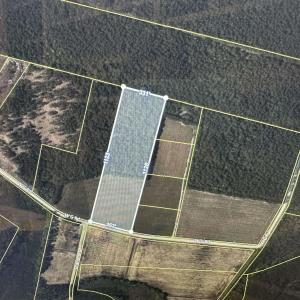 Photo #3 of Lot 1 W G Rd., Conway, SC 3.0 acres