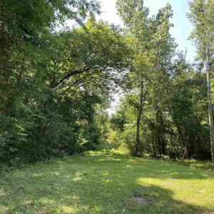 Photo #5 of TBD Hollywood Ln., Conway, SC 66.4 acres