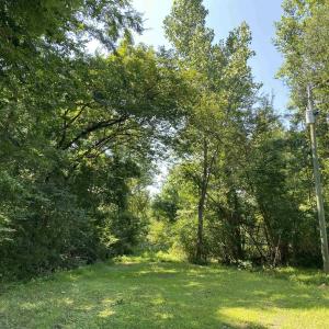 Photo #2 of TBD Hollywood Ln., Conway, SC 66.4 acres