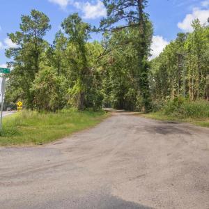 View of asphalt street with a wooded view and traf