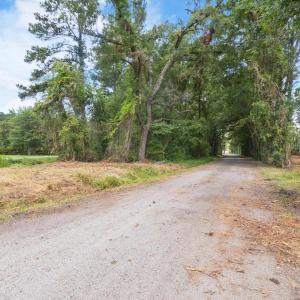 View of road featuring a wooded view