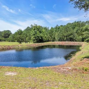 Photo #5 of 602 Alligator Rd., Andrews, SC 5.0 acres
