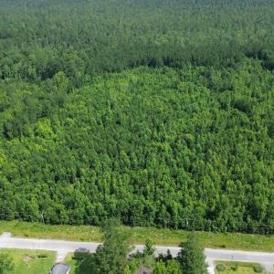 Aerial view of a heavily wooded area