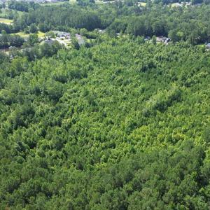 View of property location with a heavily wooded ar