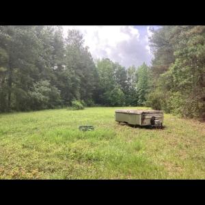 View of yard with a wooded view