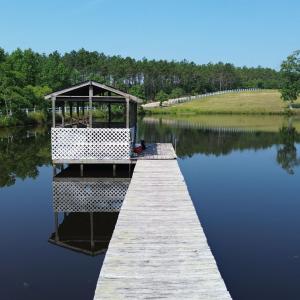 Dock area with a water view and a view of trees