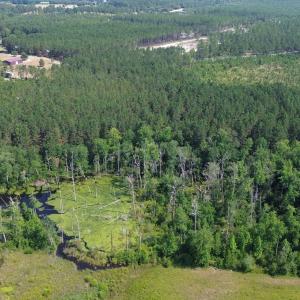 View of property location with a forest