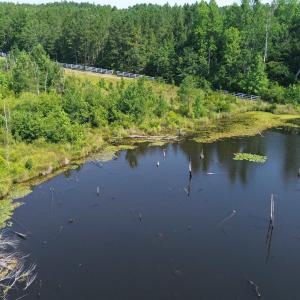 Water view with a heavily wooded area