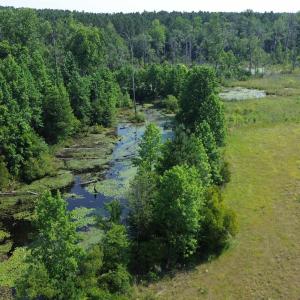 Photo #12 of 2366 Lockhart Rd, Camden, SC 171.5 acres