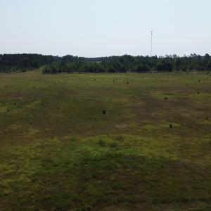 View of woods with a rural view