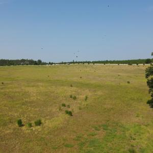 View of undeveloped land featuring rural landscape