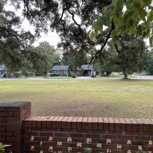 View of green lawn