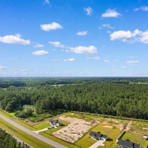 Drone / aerial view of a forest