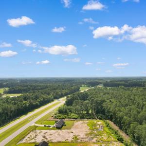 Bird's eye view of a forest