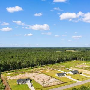 Drone / aerial view of a forest