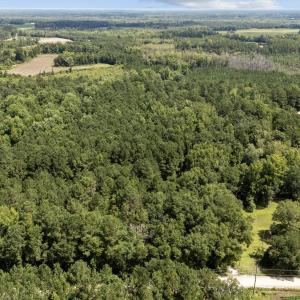 Photo #12 of TBD Plainfield Rd., Galivants Ferry, SC 4.3 acres