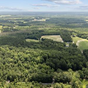 Photo #9 of TBD Plainfield Rd., Galivants Ferry, SC 4.3 acres