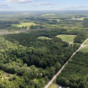 Photo #10 of TBD Plainfield Rd., Galivants Ferry, SC 4.3 acres
