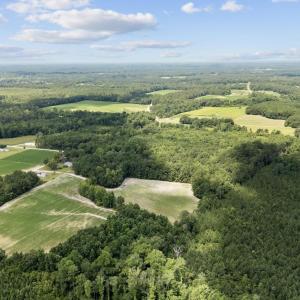 Photo #6 of TBD Plainfield Rd., Galivants Ferry, SC 4.3 acres