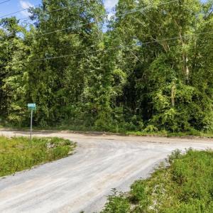 Photo #13 of TBD Plainfield Rd., Galivants Ferry, SC 4.3 acres