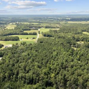 Photo #11 of TBD Plainfield Rd., Galivants Ferry, SC 4.3 acres