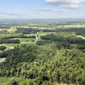 Photo #7 of TBD Plainfield Rd., Galivants Ferry, SC 4.3 acres