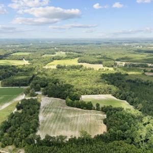 Photo #5 of TBD Plainfield Rd., Galivants Ferry, SC 4.3 acres