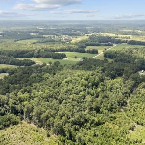 Photo #8 of TBD Plainfield Rd., Galivants Ferry, SC 4.3 acres