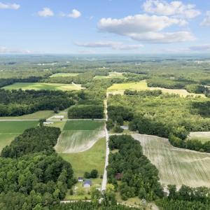 Photo #4 of TBD Plainfield Rd., Galivants Ferry, SC 4.3 acres