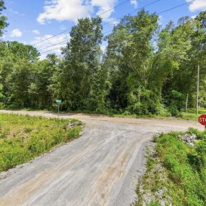 Photo #14 of TBD Plainfield Rd., Galivants Ferry, SC 4.3 acres