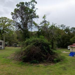 View of green lawn
