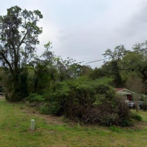 View of grassy yard with a wooded view