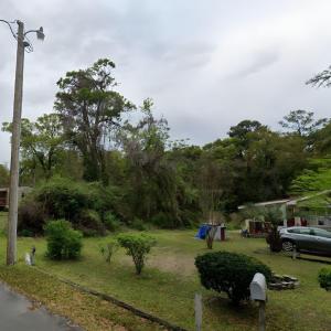 View of green lawn