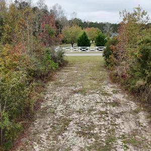 View of yard featuring a wooded view