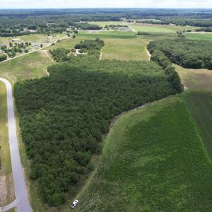 Photo #4 of 21.48 Acres - Harmony Hall Dr, Darlington, SC 21.5 acres