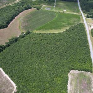 Photo #5 of 21.48 Acres - Harmony Hall Dr, Darlington, SC 21.5 acres