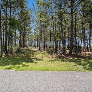 View of green lawn