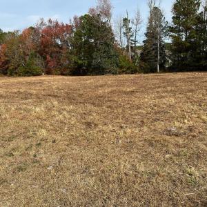 View from Professional Drive towards the rear of t