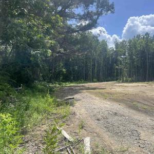 View of Easement going to lot 6B