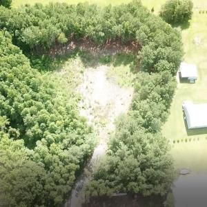 Photo #2 of TBD Lot 6B Red Bluff Rd., Loris, SC 2.0 acres