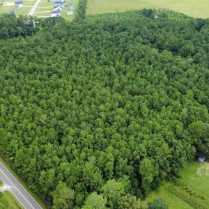 Photo #2 of TBD Old Railroad Rd., Conway, SC 14.4 acres