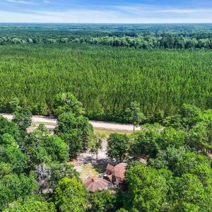 Aerial view of a forest